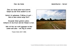 Über die Heide-Storm.pdf